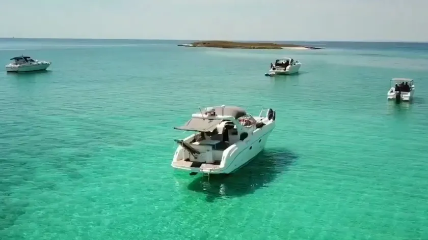 Sırbistan'ın Kvarnerski Körfezi'nde gizli bir cennet yer keşfedildi Zeča Adası