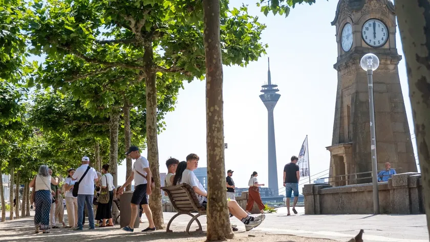 Sırbistan'daki şehirlerin sıcaklık sorununa çözüm önerisi Medeljin modeli.