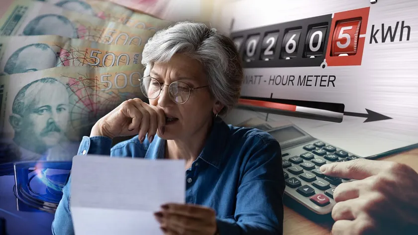 Sırbistan'da yeni kurallarla ucuz elektrik, doğalgaz ve ısınma hakkı belirlendi