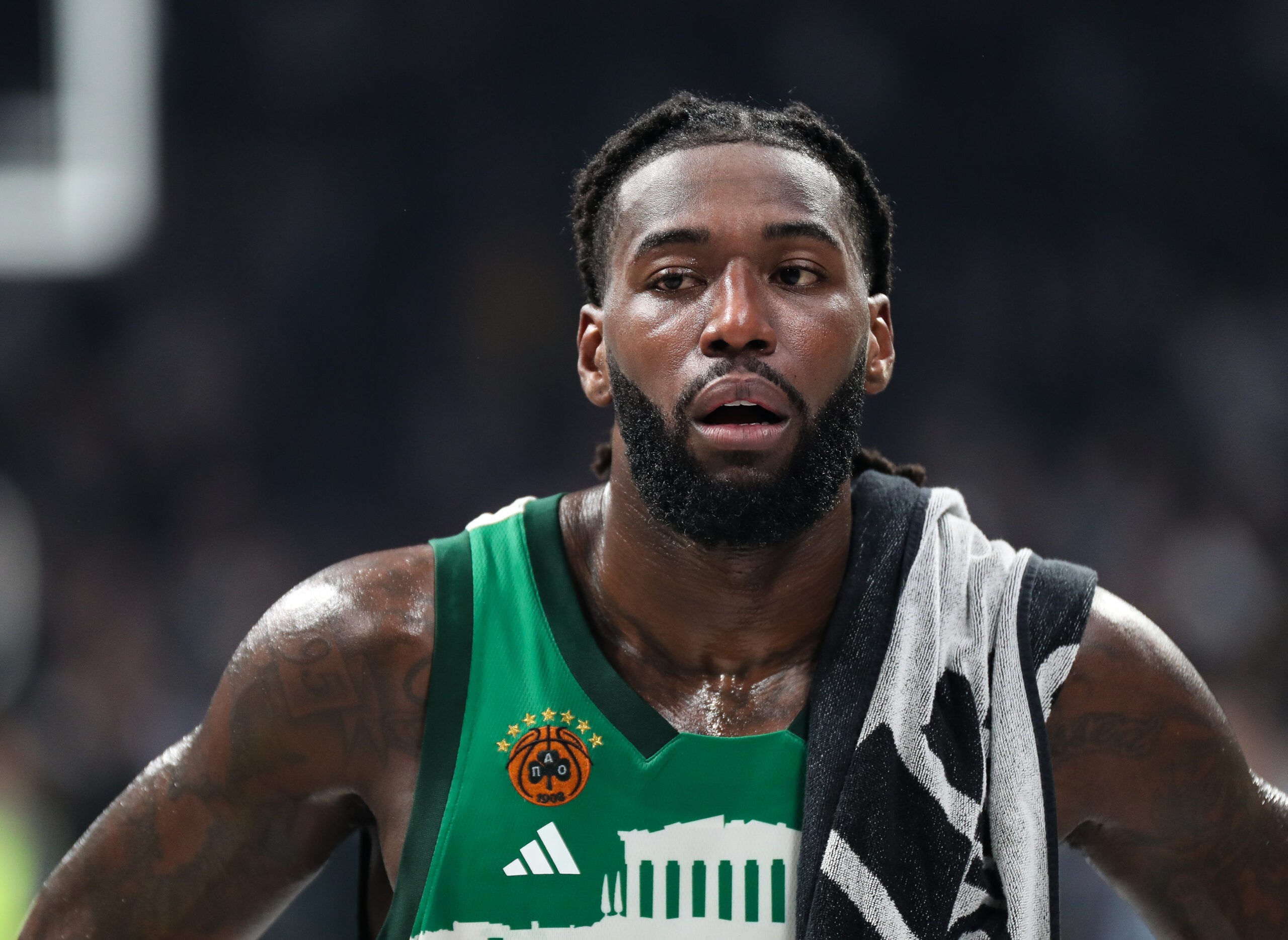 Matijas Lesor'un Parke Dönüşü Yakın