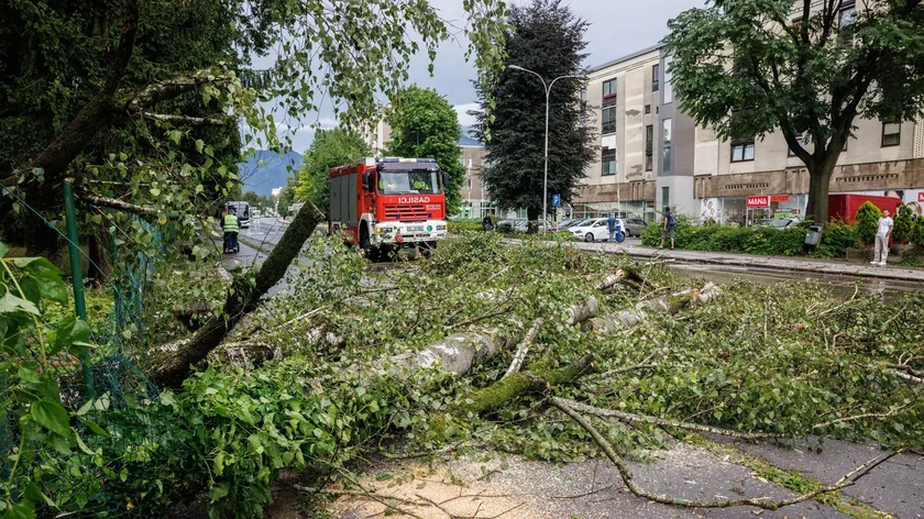 Slovenya ve Bosna Hersek'te kırmızı alarm ilan edildi şiddetli rüzgarlar uyarısı