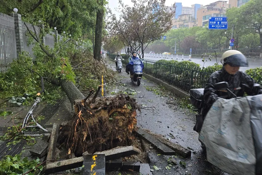 Doğu Çin'de toprak kayması sonucu en az bir kişi hayatını kaybetti.