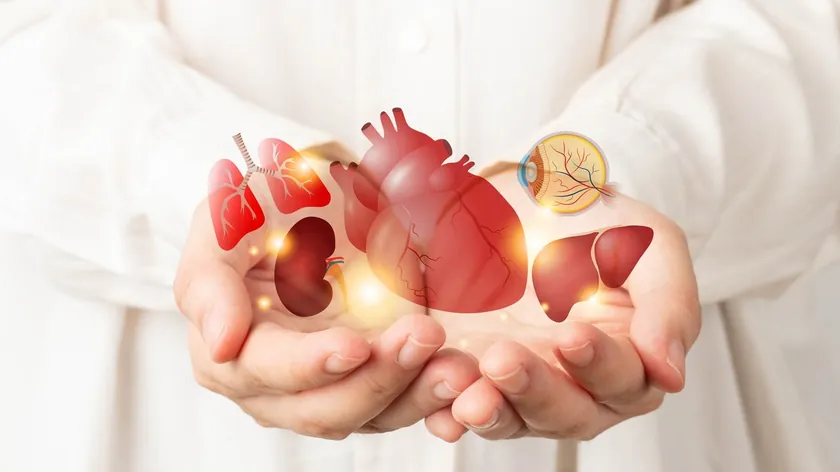 Hırvatistan, organ bağışında devrim niteliğinde yeni ölüm tanımı uygulamasını başlatıyor