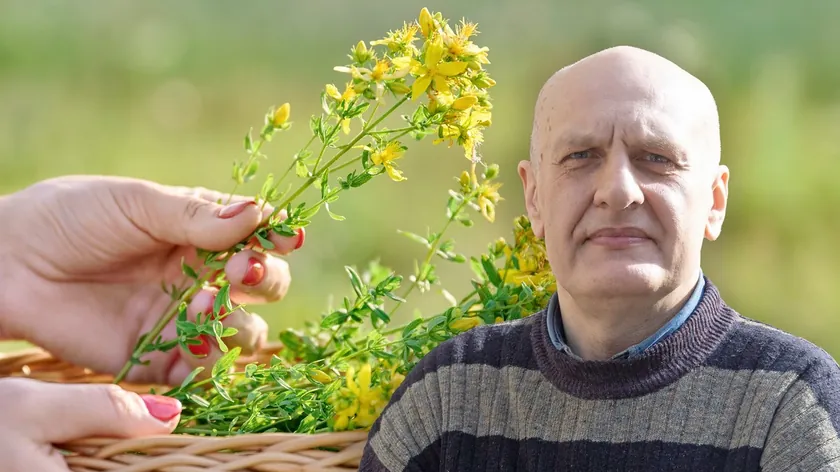 Kantarion, binlerce yıldır kullanılan bir bitki.