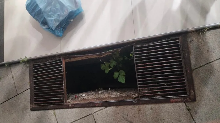 Čačak'ta bir kadın şehir merkezinde açık rögar kapağına düştü