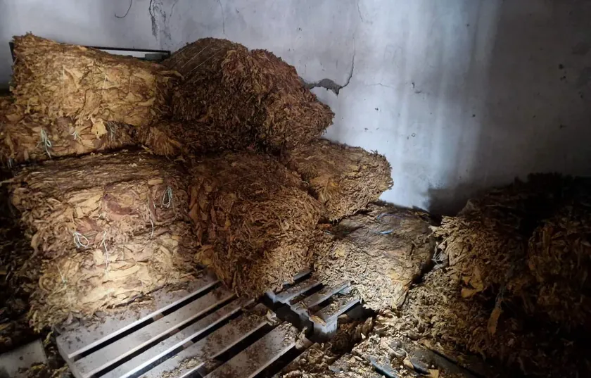 Sırbistan'da Ruma'da Yasa Dışı Tütün Ticaretine Operasyon Bir Kişi Tutuklandı