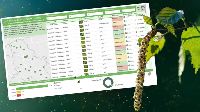 Sırbistan'da ağaç poleni zirveye ulaştı, alerjiler şiddetleniyor, ot polenleri de başladı