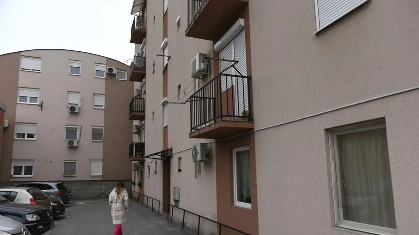 Sırbistan'da bir apartman binasında bulunan ölü domuz nedeniyle yaşanan kötü koku sorunu çözüldü.