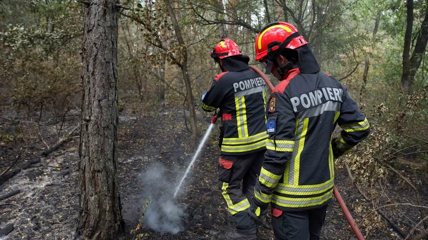 Prijepolje'de bir adam hakkında suç duyurusunda bulunulacak.