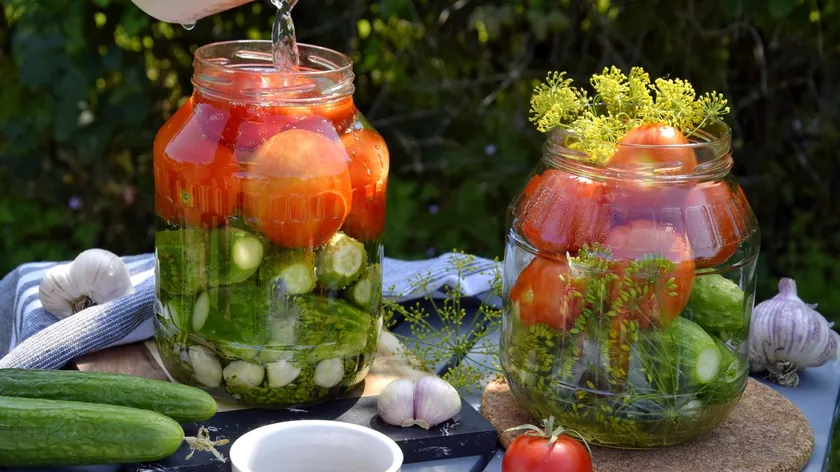 3-6-9 formülü ile mükemmel bir kış salatası yapın