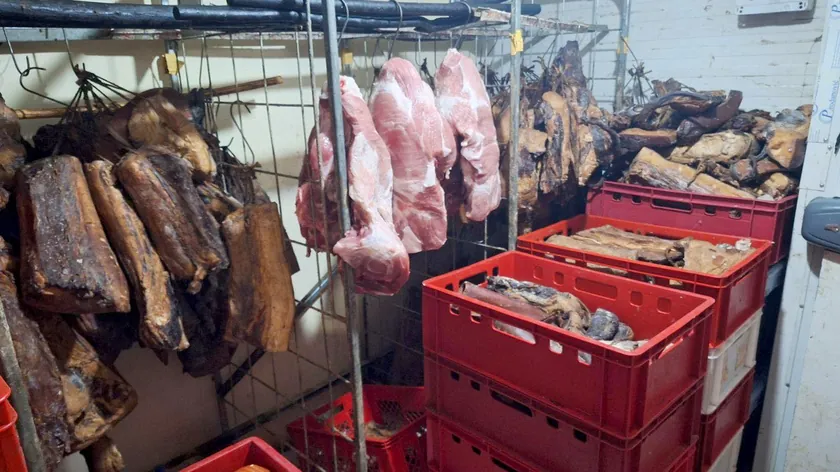 Sırbistan'da Afrika Kızaması şüphesiyle ilk tutuklama yapıldı Salaş Noćajski'de 7.060 kilogram etsiz kayıtlı bulunmuş