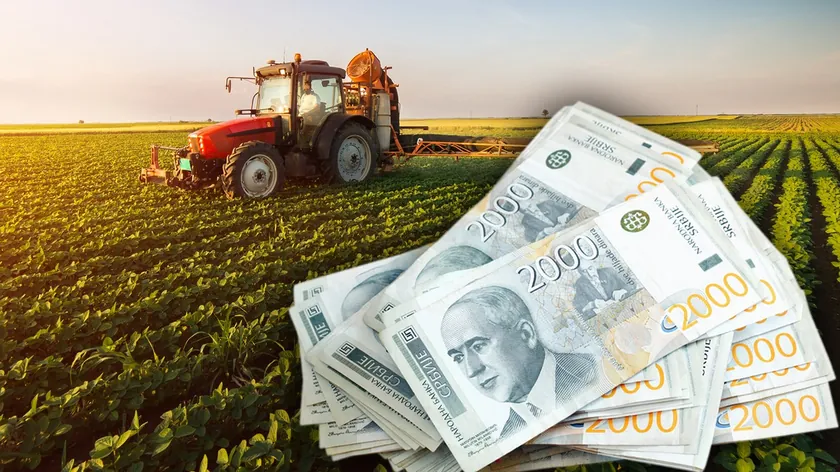 Sırbistan'da çiftçilere hektar başına 18.000 dinar teşvik başvuruları bugün başladı