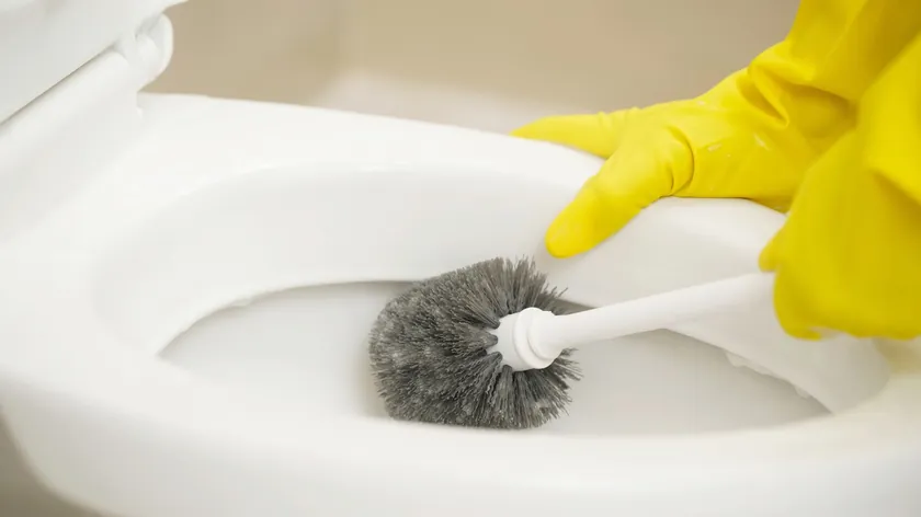 Sırp kadınları klasik WC fırçalarını bırakıp yeni alternatifler kullanıyor.