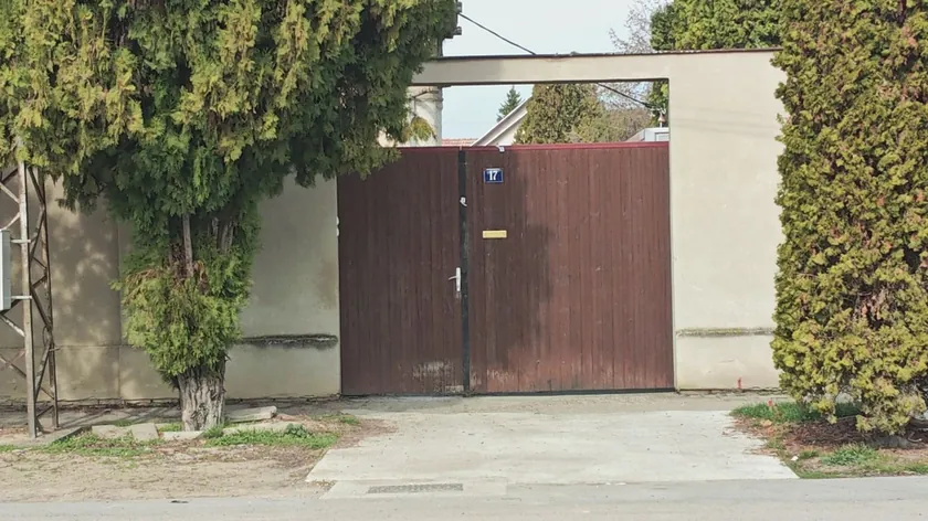 Sırbistan Senta'da 78 Yaşındaki Kadının Vahşi Cinayetiyle İlgili Detaylar Açıklandı