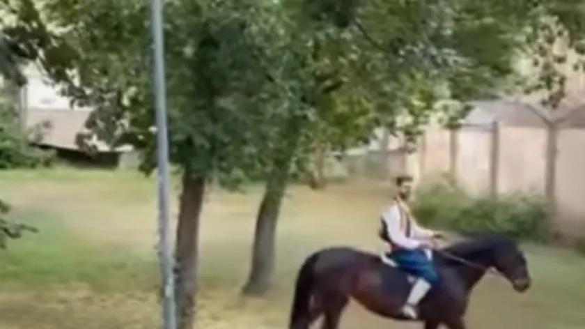 Yeni Sad'da sıra dışı bir evlenme teklifi sosyal medyada büyük yankı uyandırdı.
