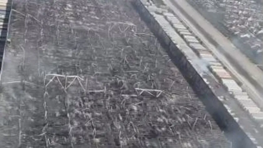 Kaliforniya'da fabrika yangını büyük yıkıma neden oldu, çalışan ücret anlaşmazlığını işaret etti