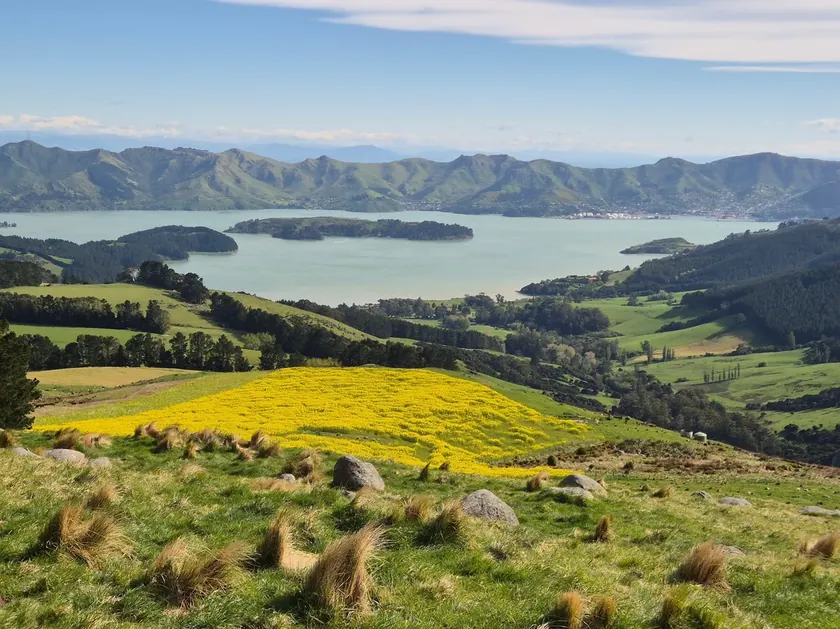 Yeni Zelanda milyarderlerin küresel krizlere karşı lüks sığınaklar inşa ettiği yer oldu.