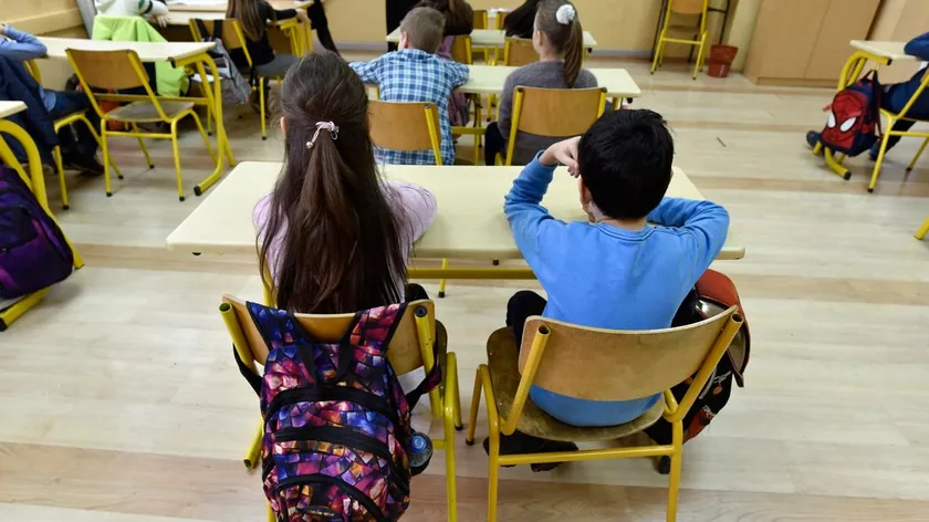 Orta Sırbistan'da okullarda sonbahar tatili 11 Kasım'da başlıyor: Öğrenciler beş gün ders yapmayacak