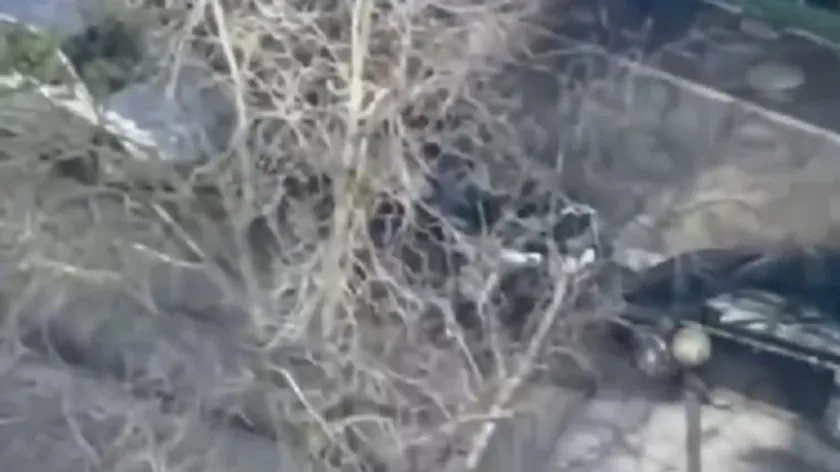 Ukrayna Kiev'de terör saldırısında kaçan polis memurları görevden uzaklaştırıldı.