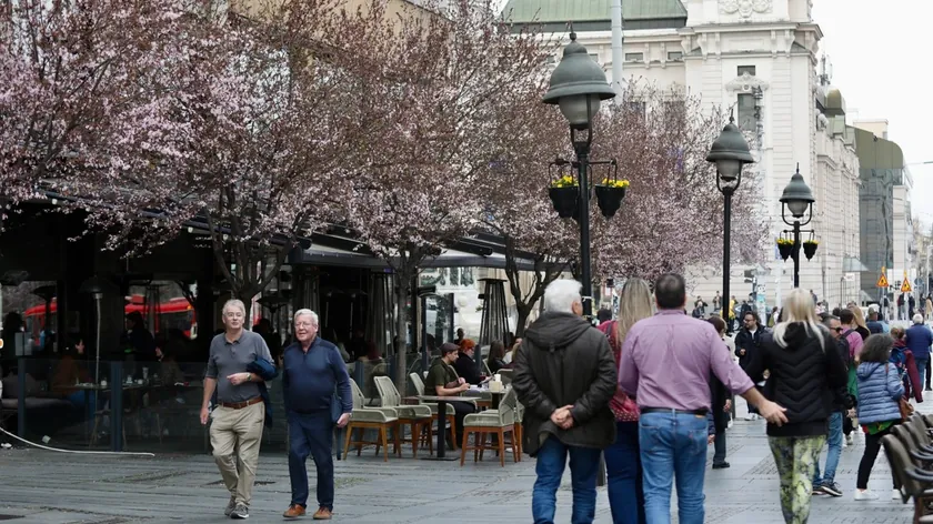 Sırp vatandaşları hayatın bazı gerçeklerini en iyi yansıtan sözleri seçti.