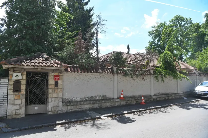 Sırbistan'da Belgrad'daki cinayet şüphelisinin eşi D. V.'ye tutuklama kararı verildi