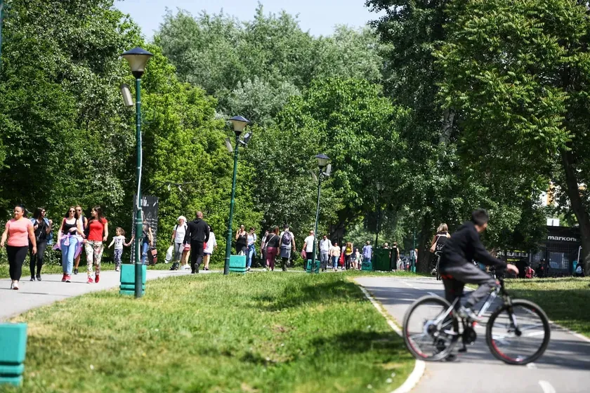 Ada Ciganlija'da na buzularda bulunan ender bir doğa harikası bulunuyor.