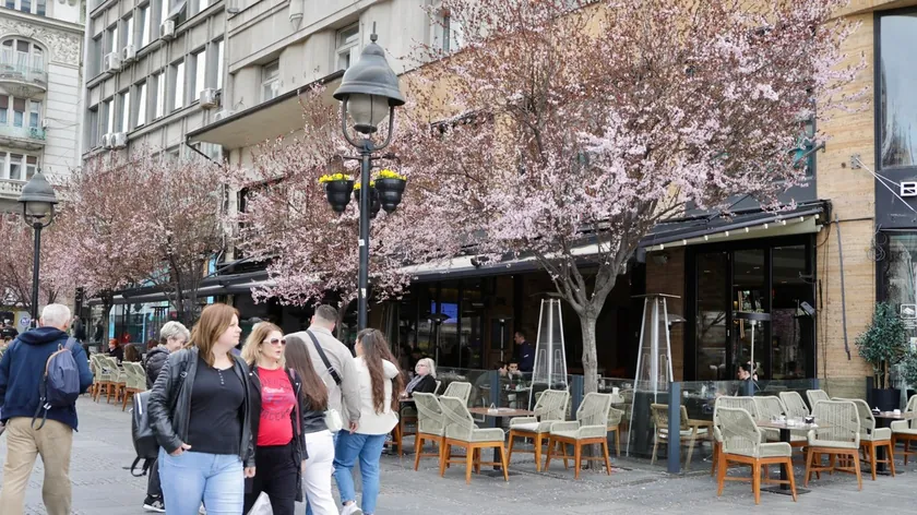 Belgrad'a Gelecek Hırvat Kadın Gece Hayatı İçin Sıradışı Bir Talep Belirtti