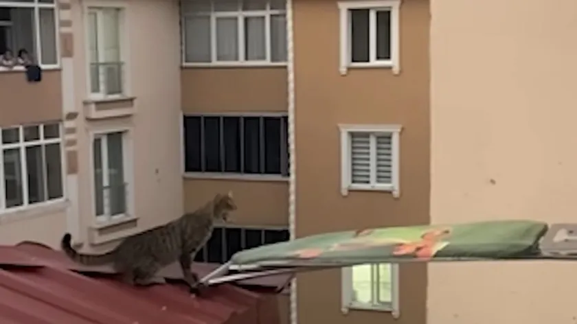 Kars'ta iki kadın mağduru bir tahta ile kurtardı