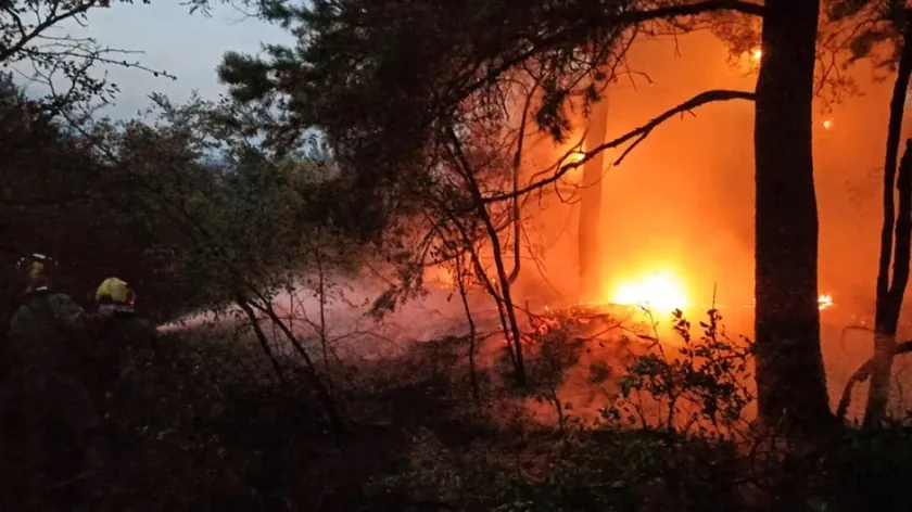 Rumens vatrogascıları Sırbistan'da yangınlarla mücadele ediyor