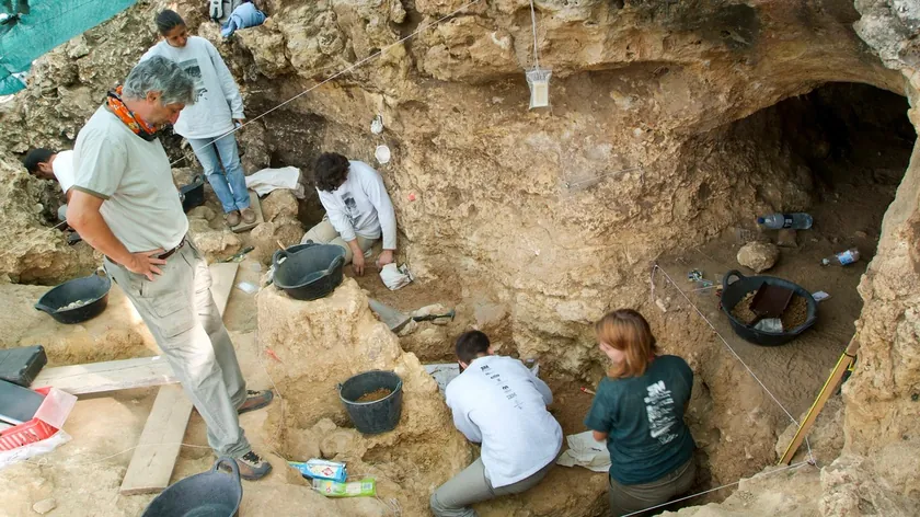 Sırbistan'da 1.400 Yıllık Mezarlarda Bulunan Ayılar Kılıçları
