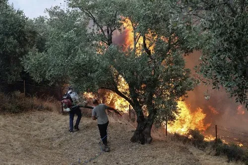 Yunanistan'da büyük orman yangınları devam ediyor.