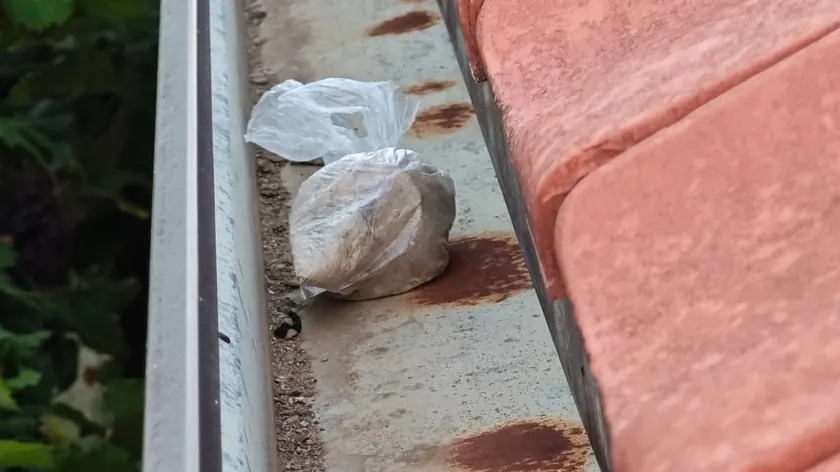 Sırbistan'da iki kişi heroin satmakla suçlanıyor.