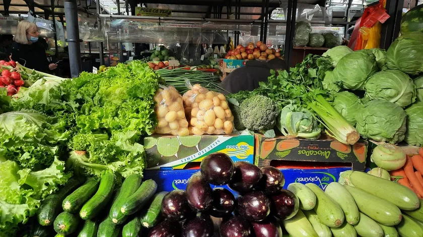 Sırbistan Tarımında Nisan Ayında Ekilecek Bitkiler Hektar Başına Yüksek Kazanç Vaat Ediyor