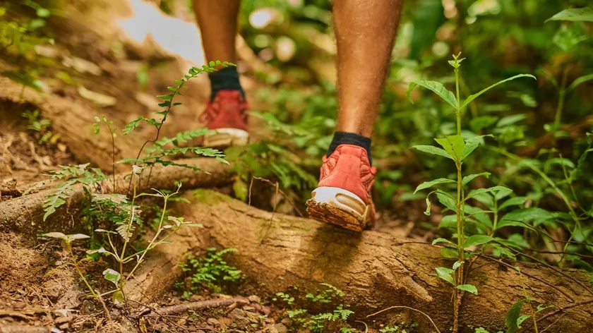 Univerexport Şirketi, Fruška Gora Maratonu'na Destek Vererek Sağlıklı Yaşamı Teşvik Ediyor