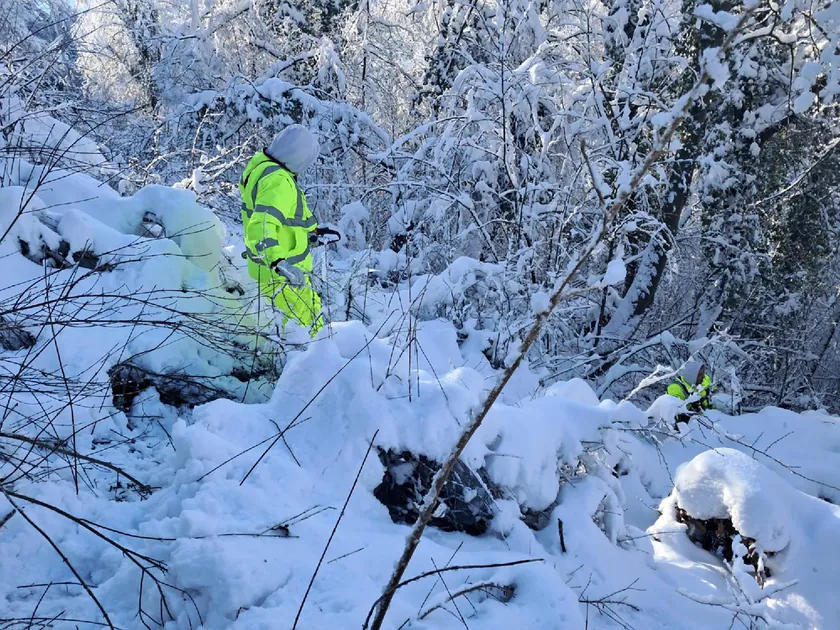 Mionica'da Kar Seferberliği: Elektrik Arızaları Giderildi