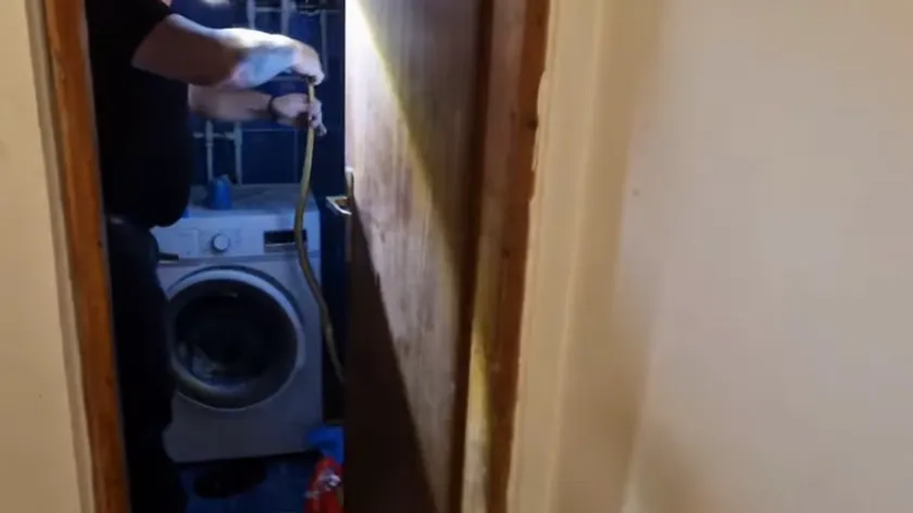 Sırbistan'da evde bir metreden uzun yılan çamaşır makinesi arkasından çıkarıldı