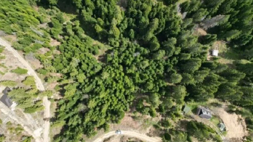 Sırbistan'ın Zlatar Dağı'nda Arsa Satışı Büyük İlgi Çekiyor Fiyatı Belli Oldu