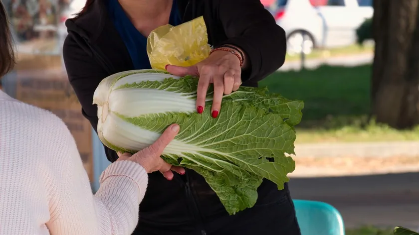 Sırbistan'da tarım ve balıkçılık ürünleri üretici fiyatları düşerken meyve %68 arttı
