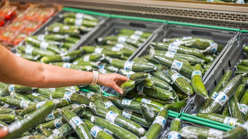 Bazı hıyarların neden plastik ambalajda satıldığına dair detaylar açıklandı