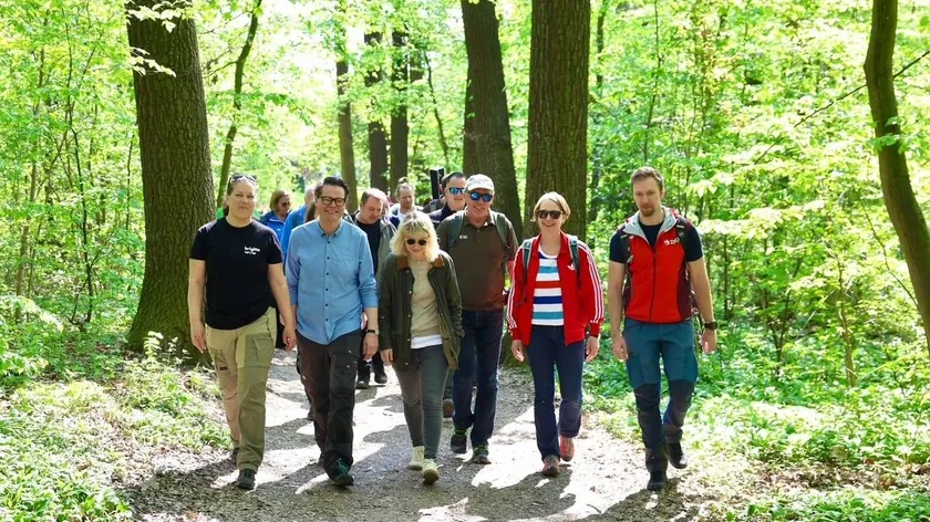 Viyana'nın En Güzel Şehir Yürüyüş Rotaları: Bağlardan Panoramik Manzaralara Uzanan Yollar