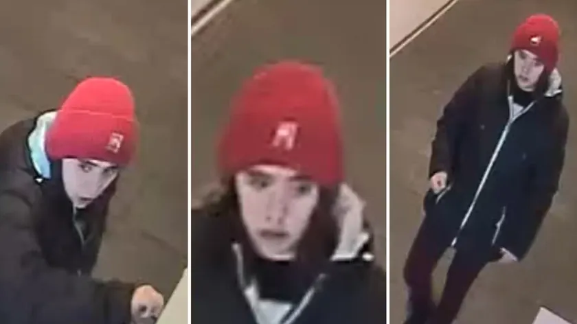 Avusturya'nın Tirol bölgesinde yaşam kurtaran cihaz çalındı, tamamen imha edildi