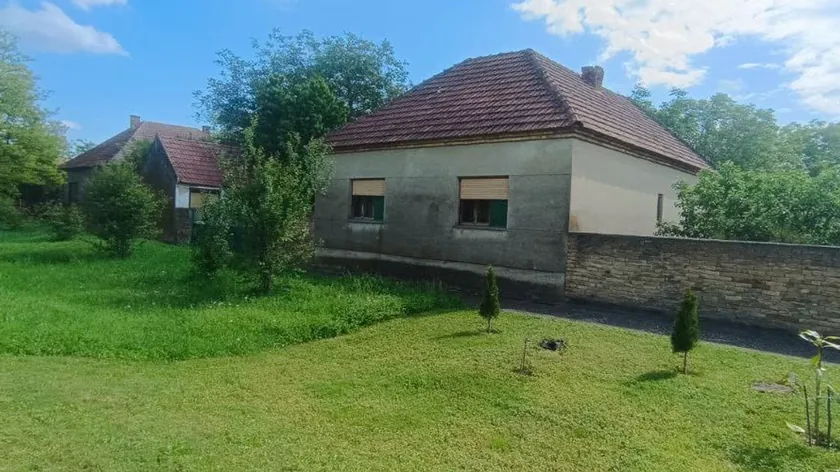 Sırbistan'da Banat bölgesinde bulunan bir aile malikanesi 22.000 Euro'ya satılıyor.