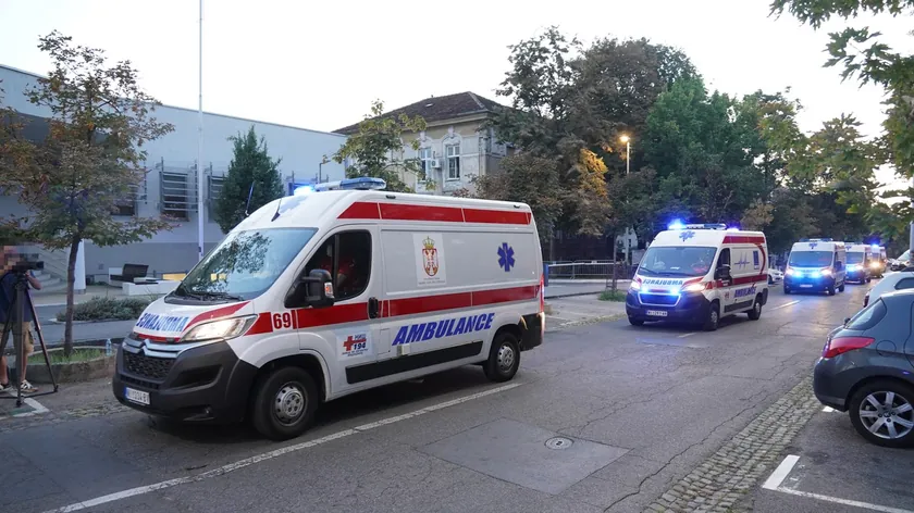 8 Yaşındaki Bir Kız Mladenovac'ta Köpeğin Saldırısına Kurban Oldu