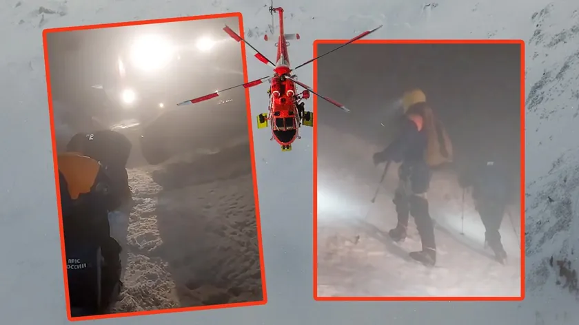 Elbrus Dağında Kayıp Bir Kedinin Bulunamaması