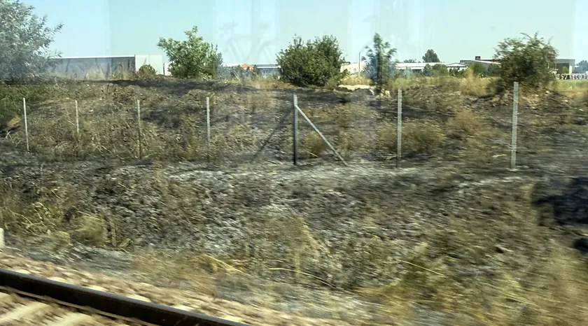 Beograd-Novi Sad demir yolu üzerinde hala duman var Fotoğraflar yangının ardından