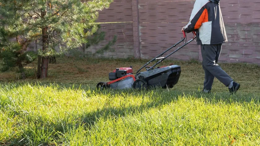 Bahçe Düzenlemede Yeni Trendler: Çim Yerine Farklı Bitkiler Kullanımı Öneriliyor