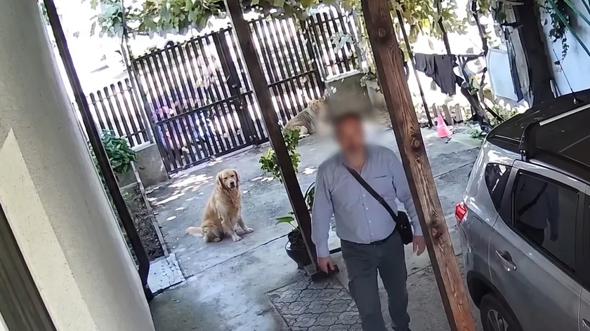 Sırbistan'da "Şık Hırsız" Evinleri Soydu Para ve Araba Çaldı