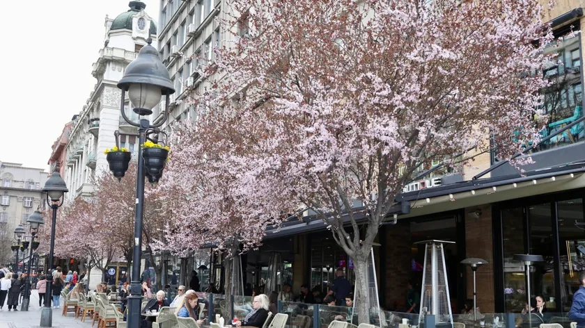 Sırbistan'da Astronomik Bahar Neden 20 Mart'ta Başladı, 21 Mart'ta Değil