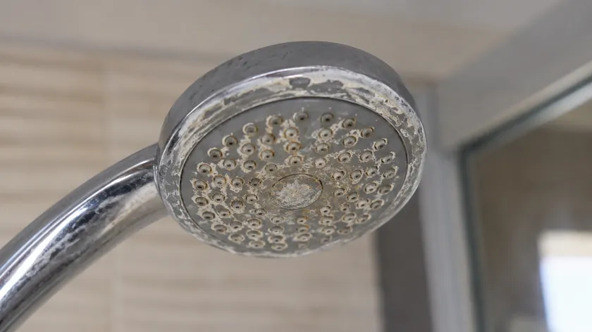 Sırbistan'da yapılan bir araştırma sonucunda soda bikarbonası ve sirke karışımının etkili olmadığı ortaya çıktı.