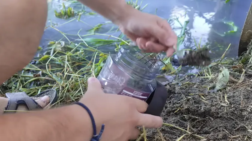 Bir Adam Kanalizasyon Suyunda Mini Ekosistem Geliştirdi Kirlilik Tehdidine Dikkat Çekti